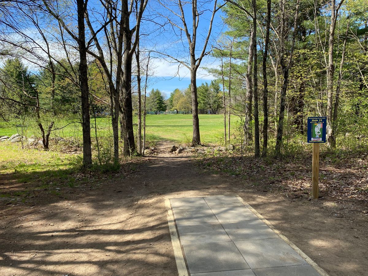 Tee 15