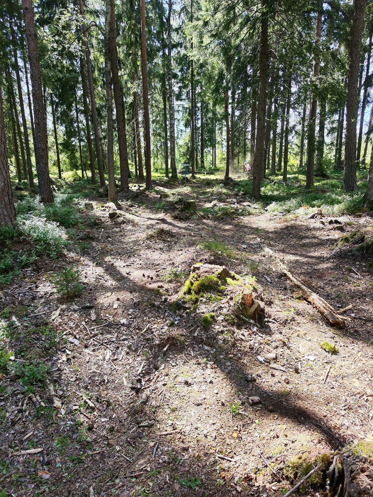 Väylä 17 ojan ylitse katsottuna korille päin
