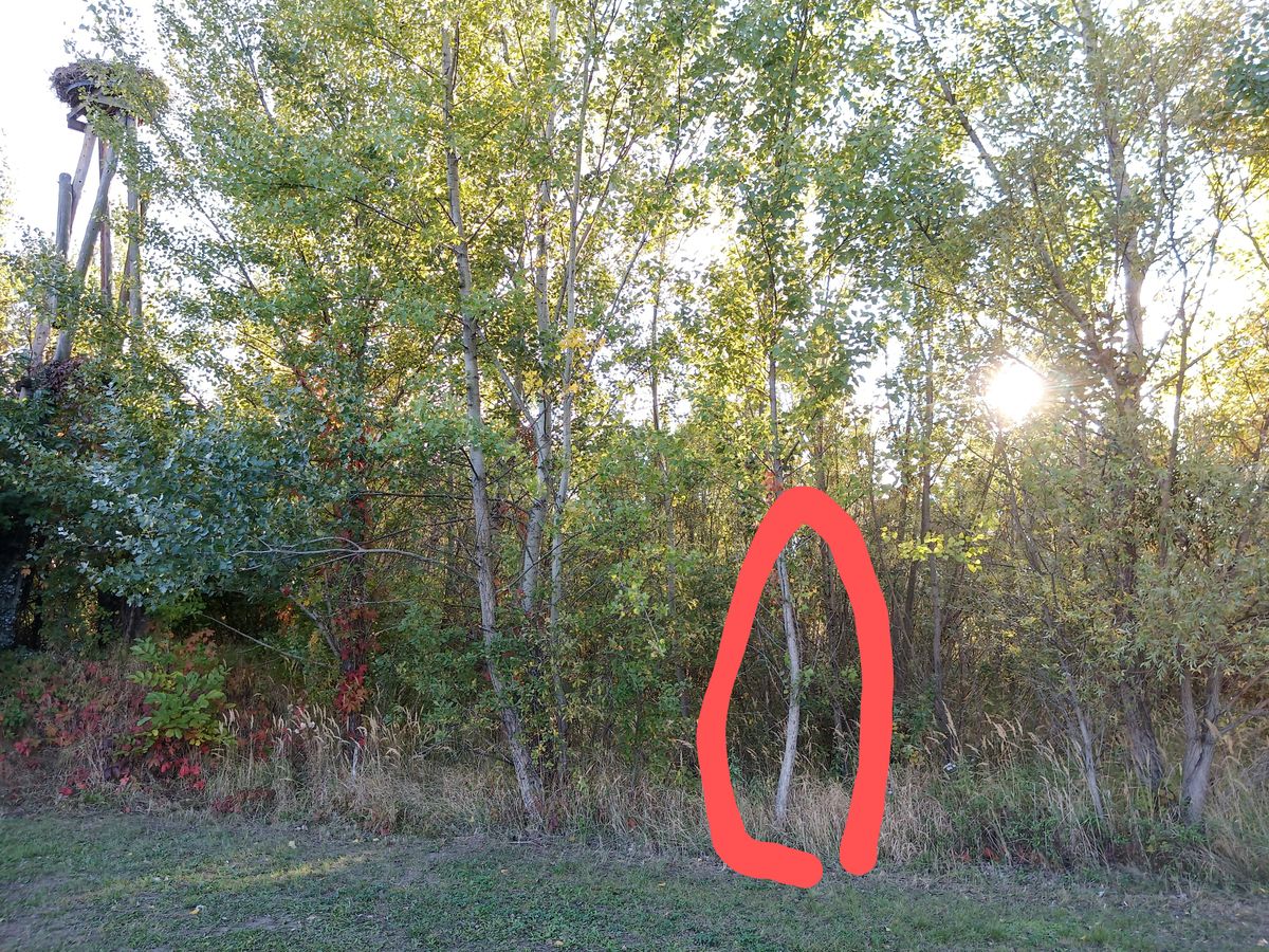Target Hole 4