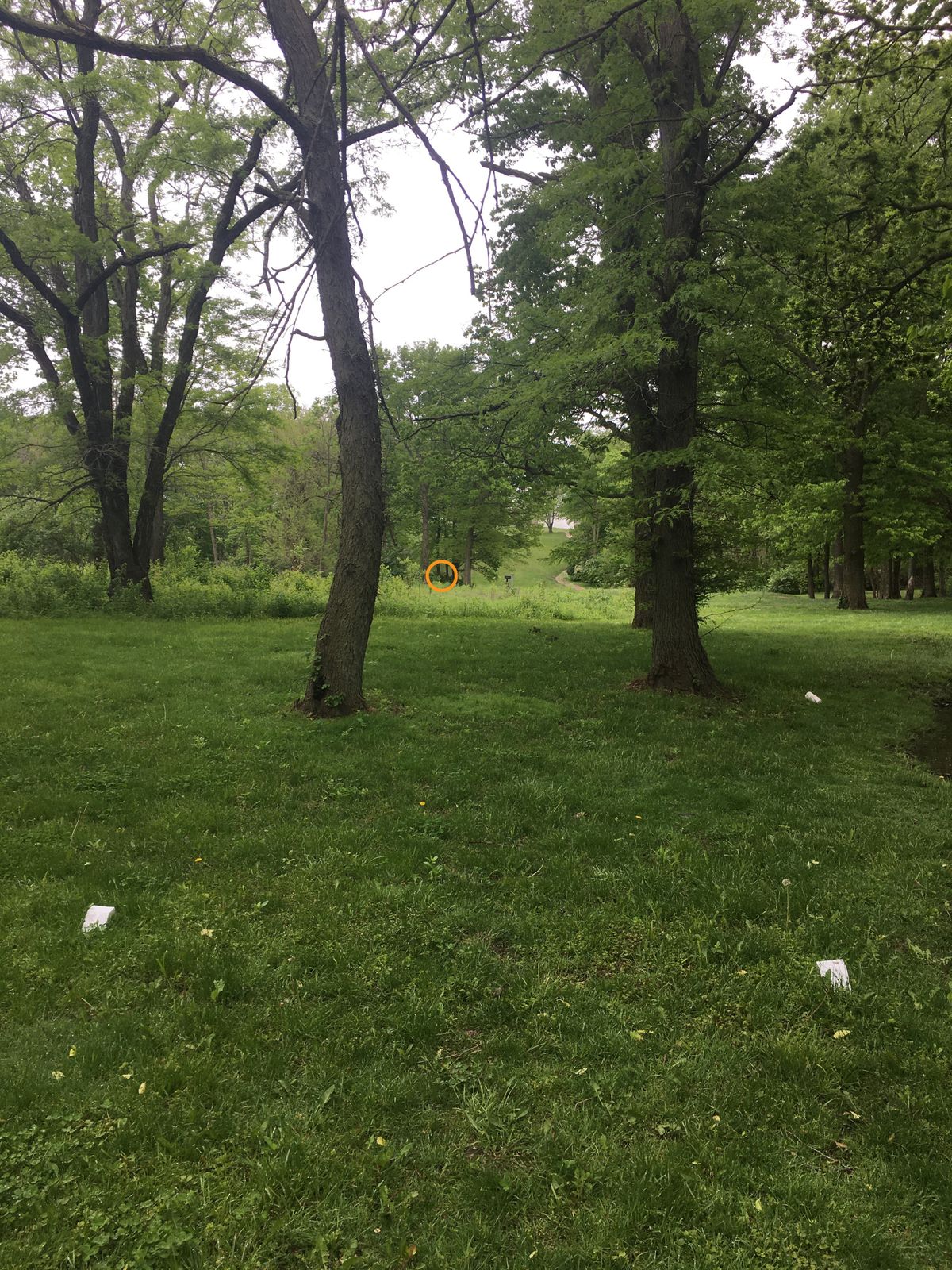 Hole 3 from the tee box