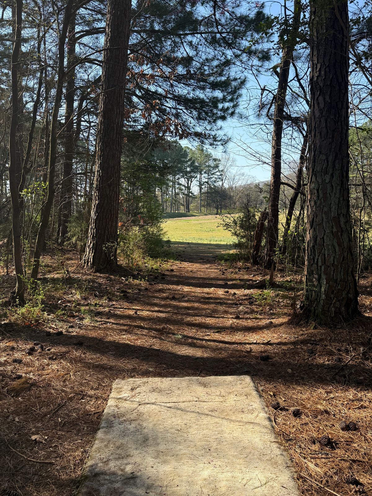 Hole 7 Tee box view