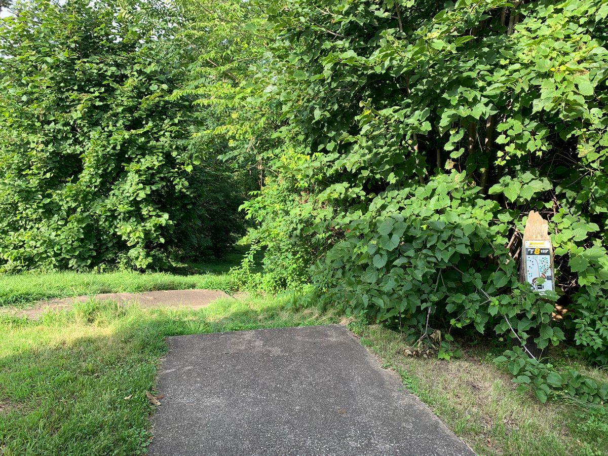 A fair amount of trees and shrubbery, holes 4-8.