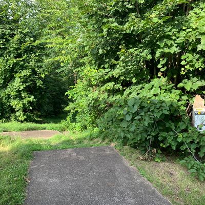 A fair amount of trees and shrubbery, holes 4-8.