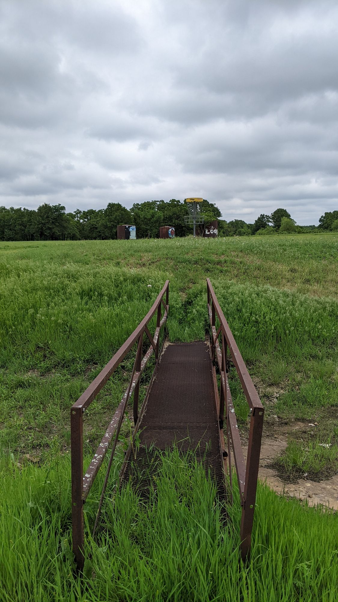 Bridge to Basket 17