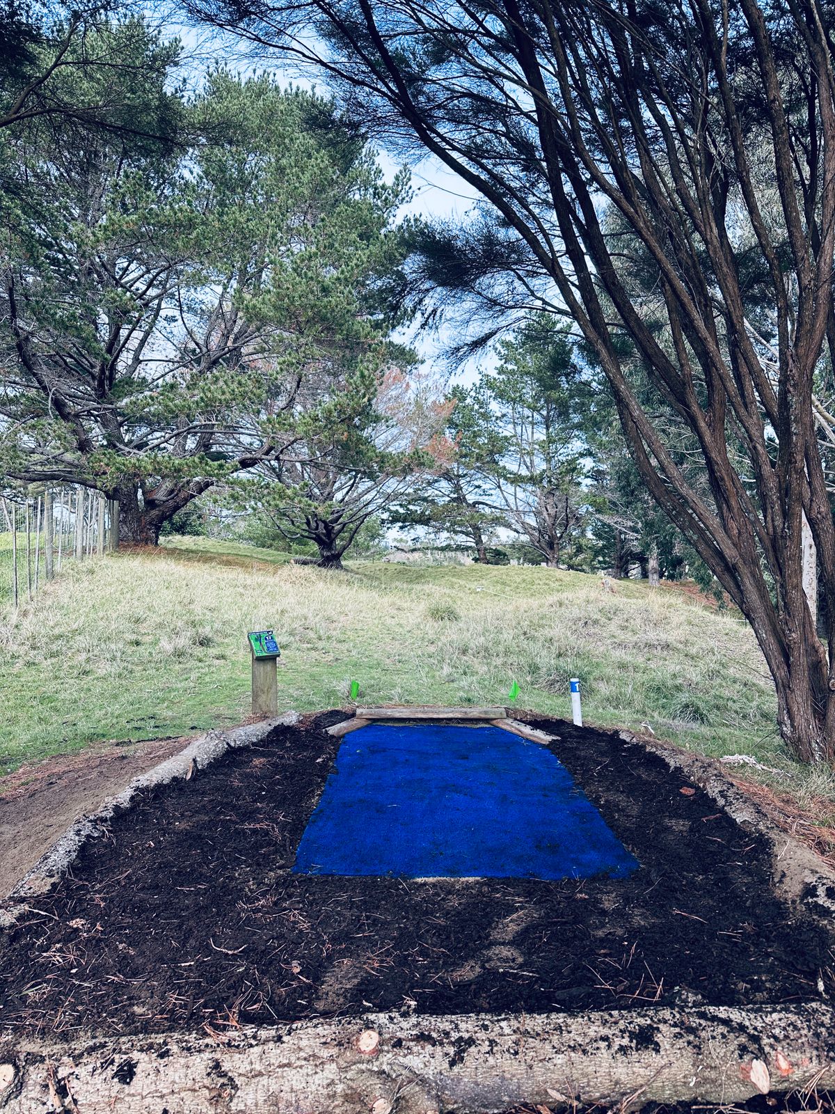 17 blue