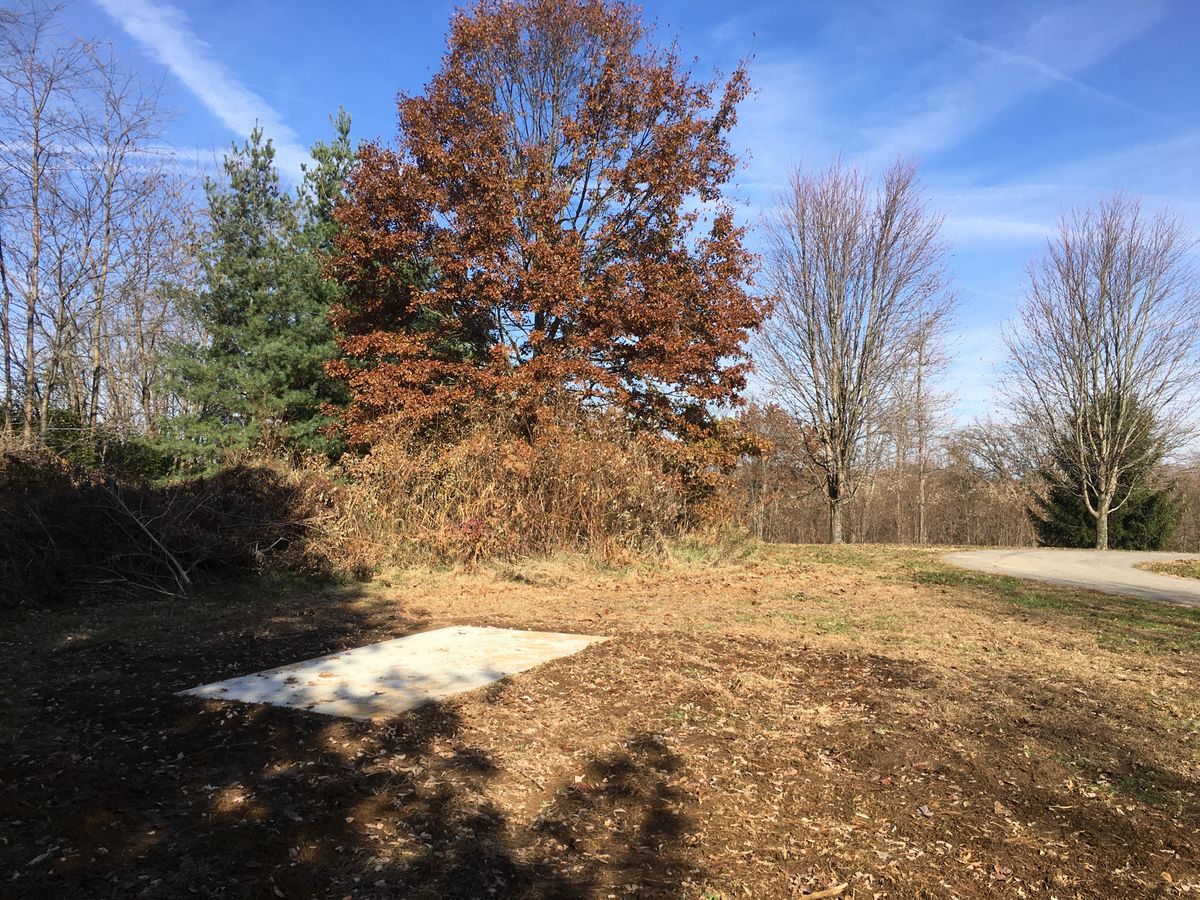 Hole #16 tee pad.