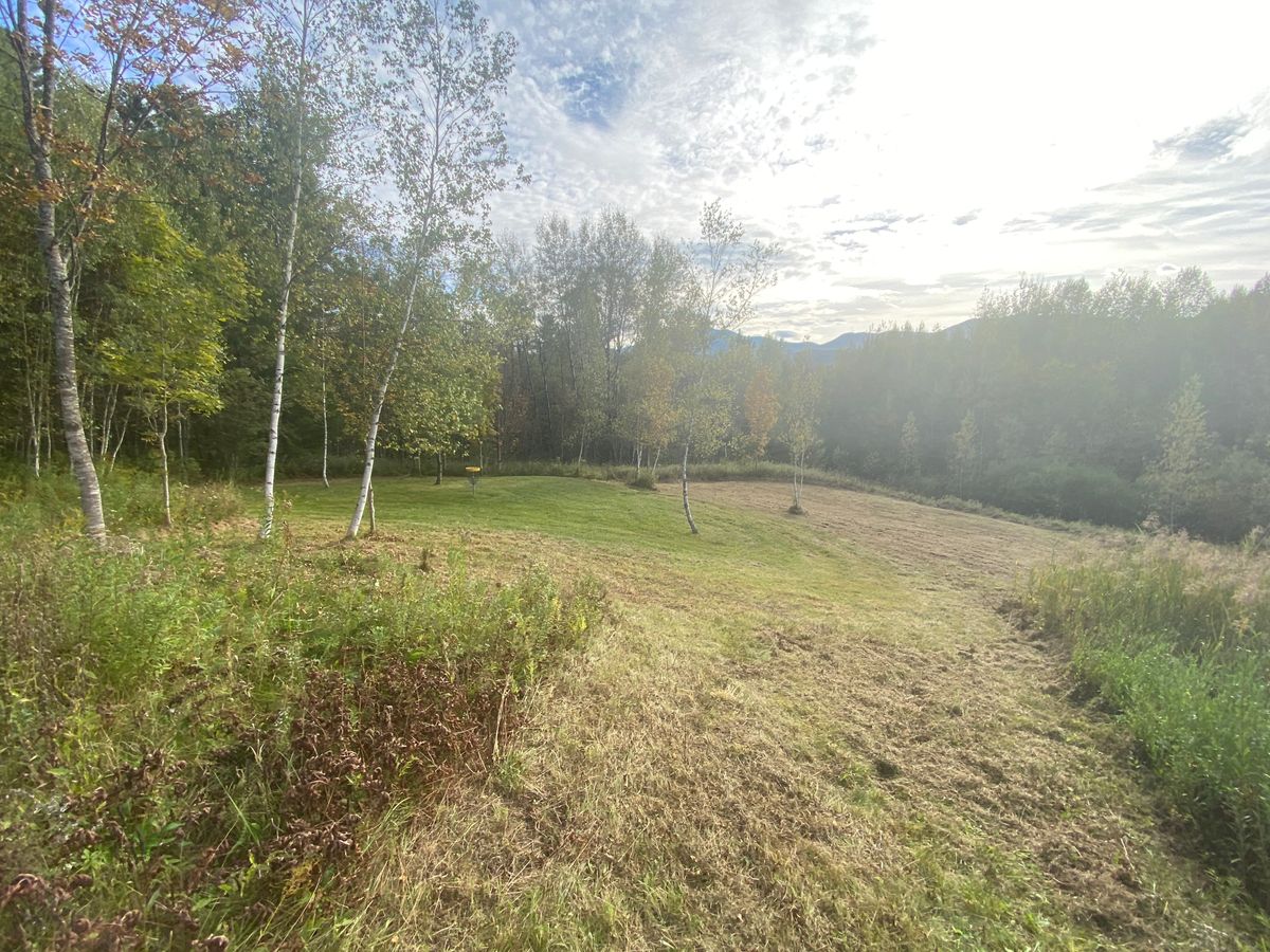 Widened landing zone!