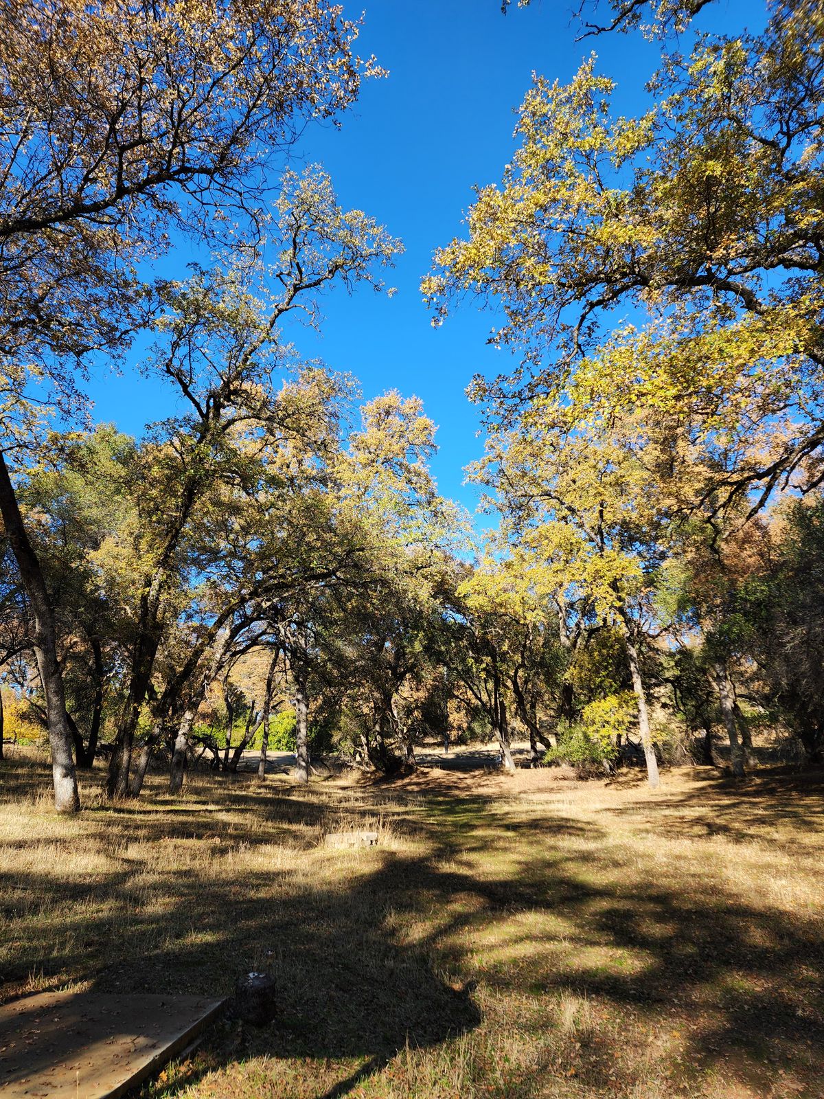 Hole 11 Fairway