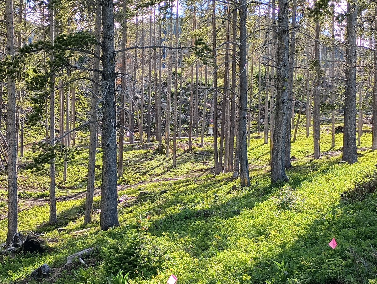 Hole 12