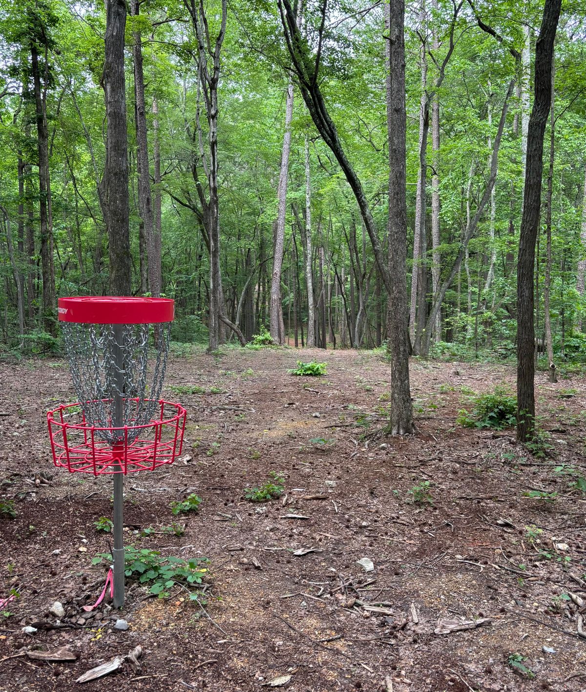 Hole #2 Basket to Tee