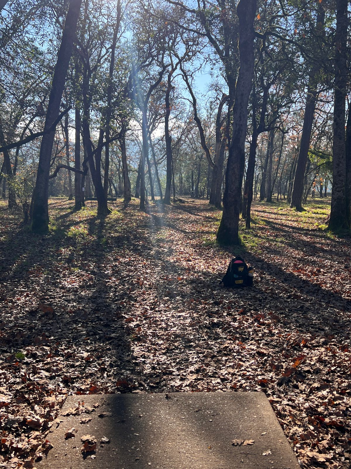 Hole 15 tee