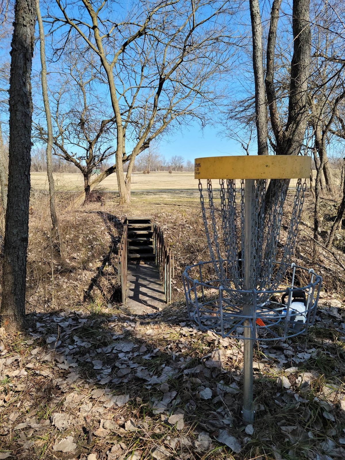 Basket 02 looking back up fairway.
