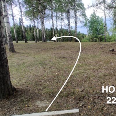 Hole 2 - down a little hill. Tee pad 3 is back up beside the path, close to basket #1.