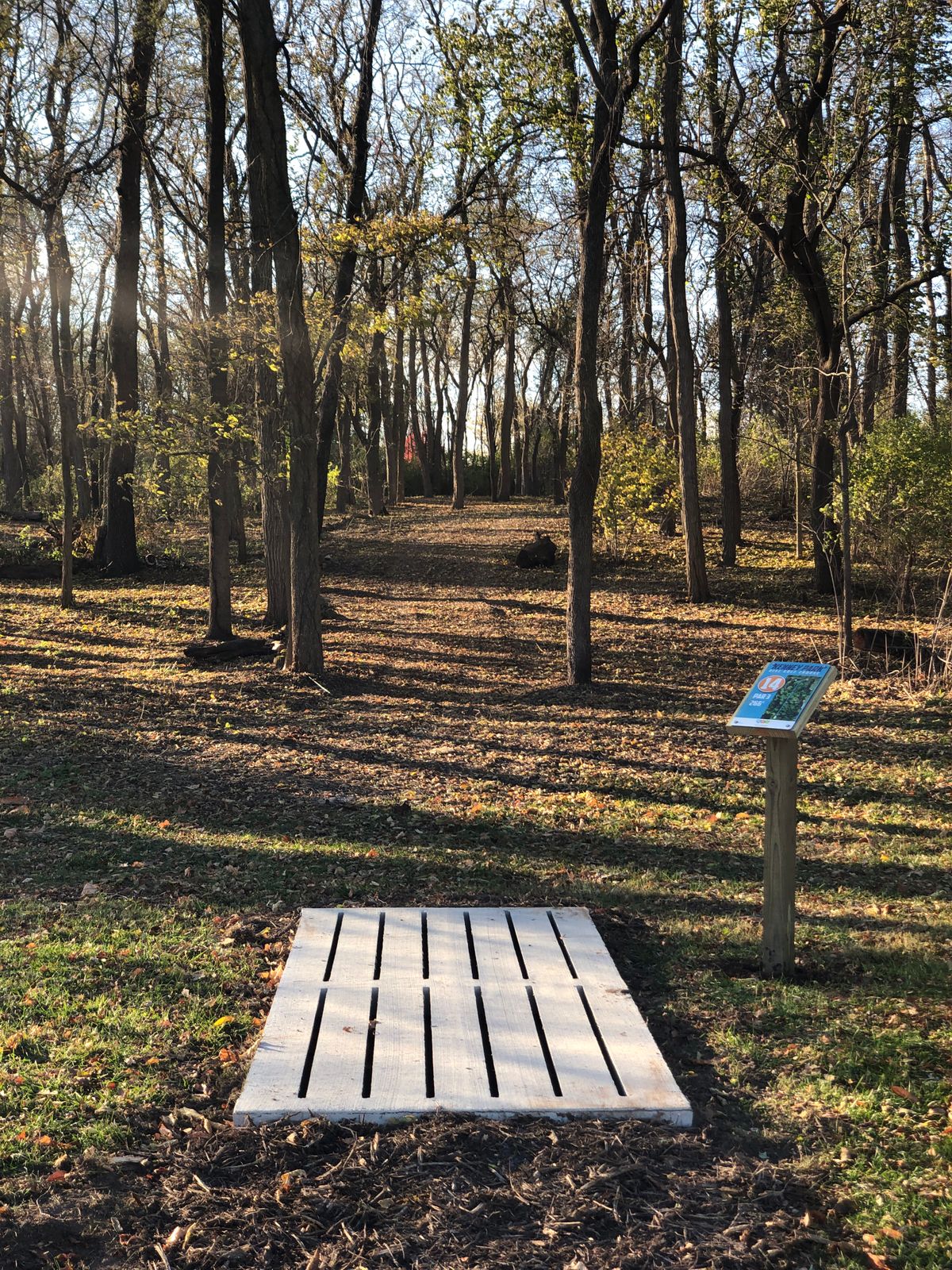 Hole 14 pad into the woods!