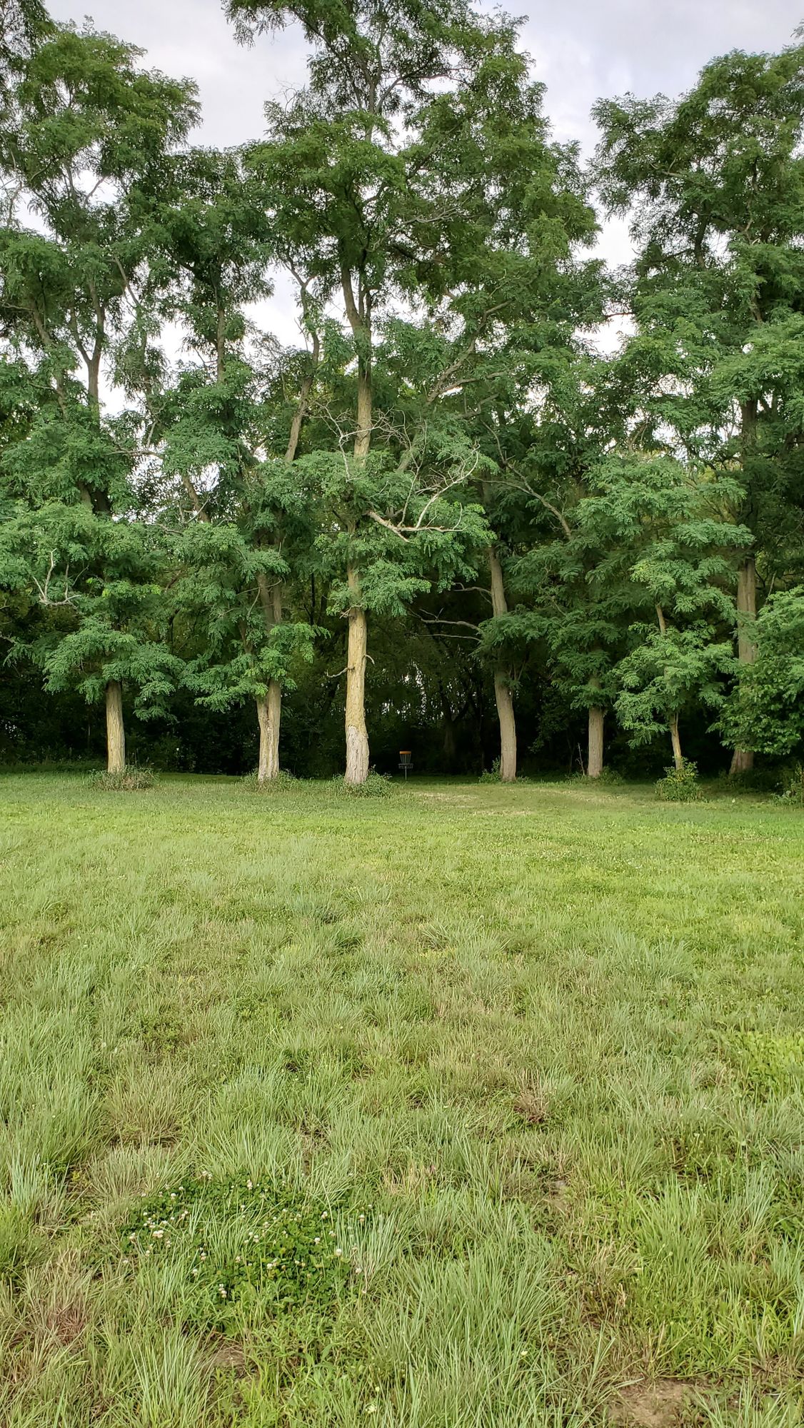 Hole 17's fairway.