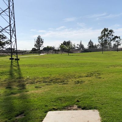 Hole 8