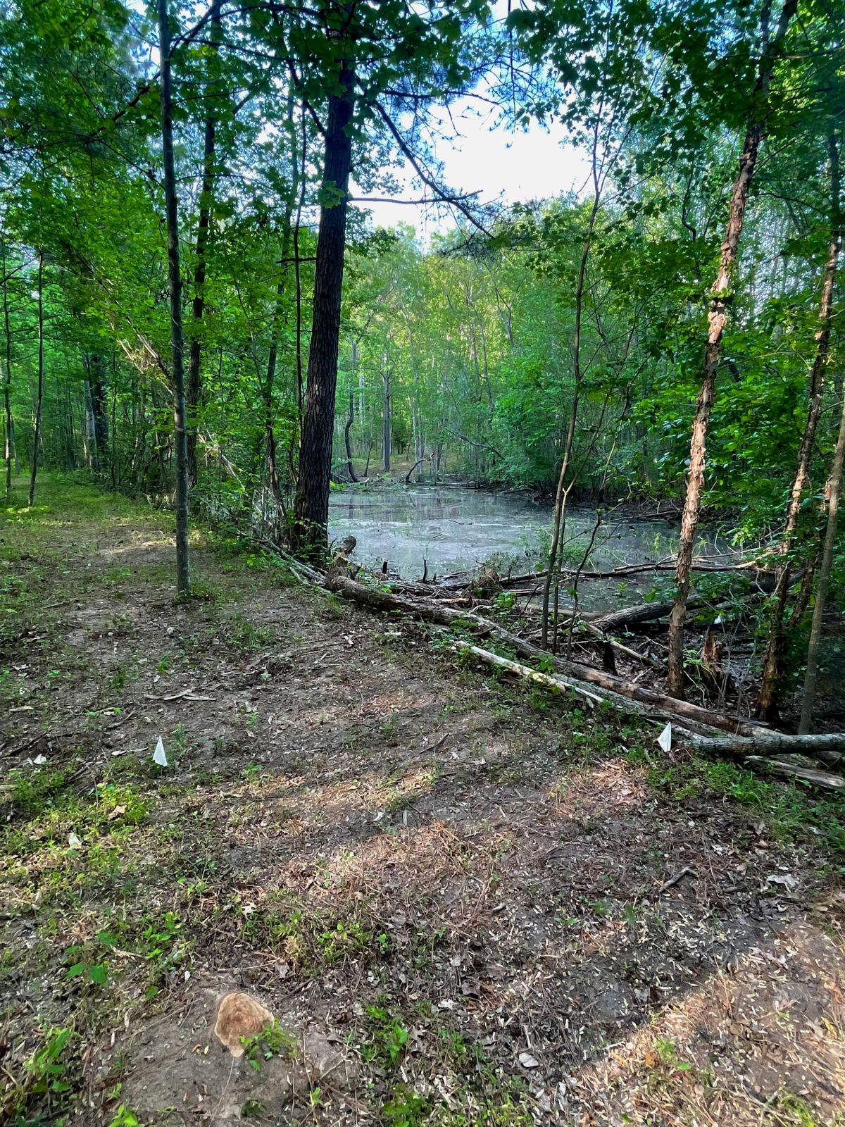 Hole 3 White