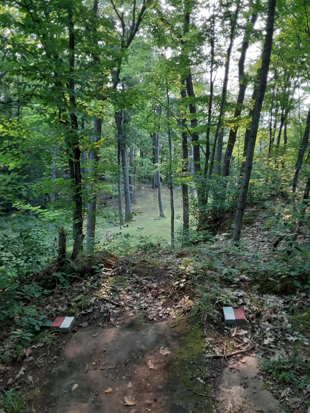 Hole 16 tee