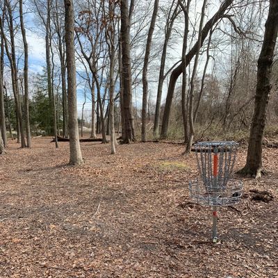 Hole 13 short basket. Long basket behind and too the left.