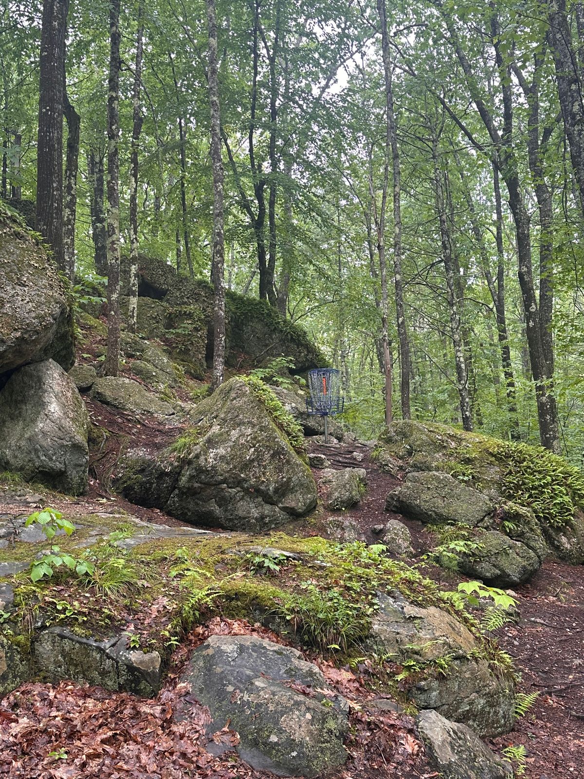 Squam hole 6 basket