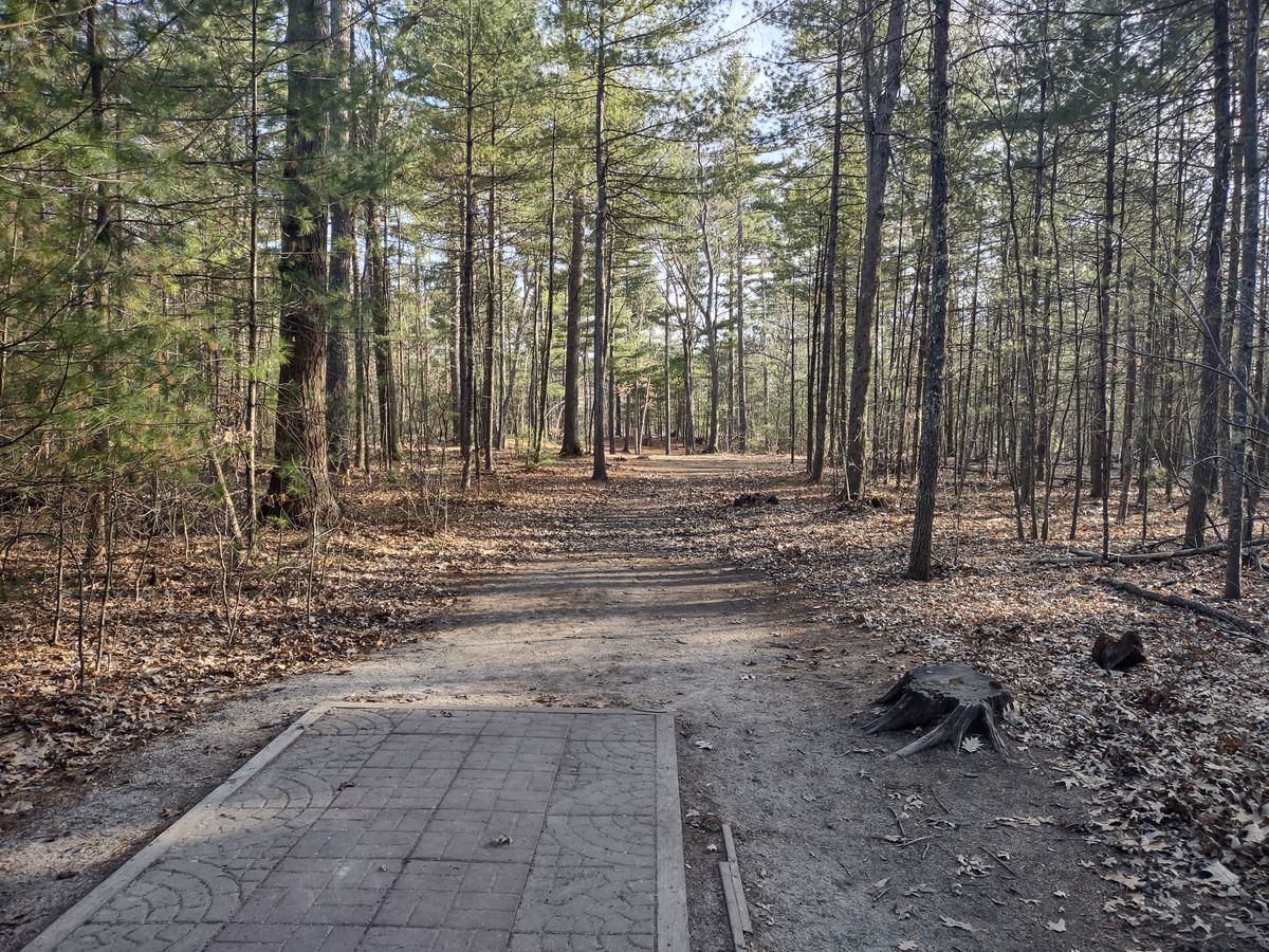 Hole 4