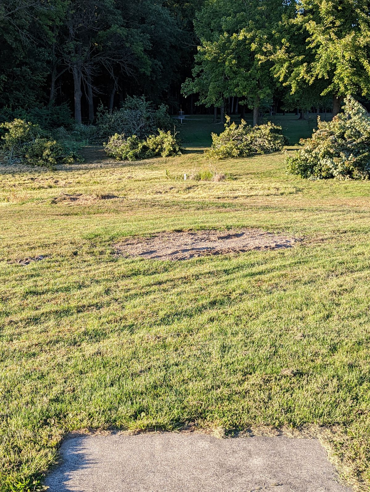 Hole 6 Teebox