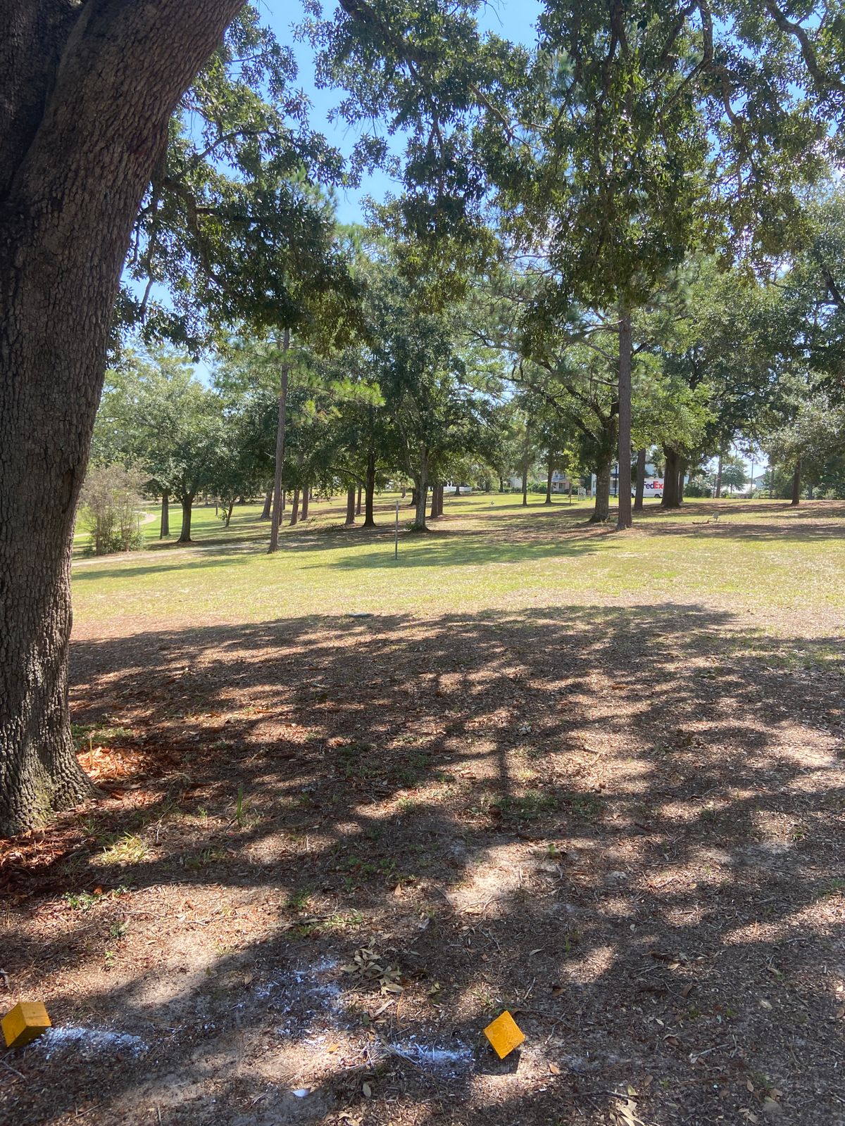 Hole 6