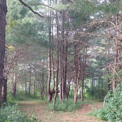 Hole 5
