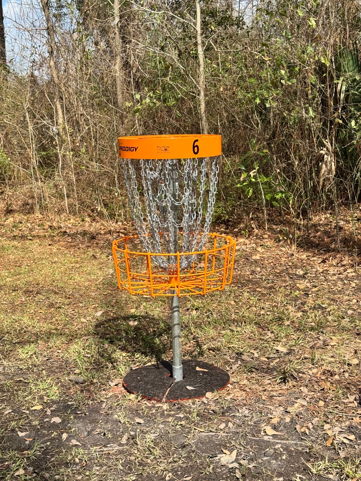 Hole 6 basket