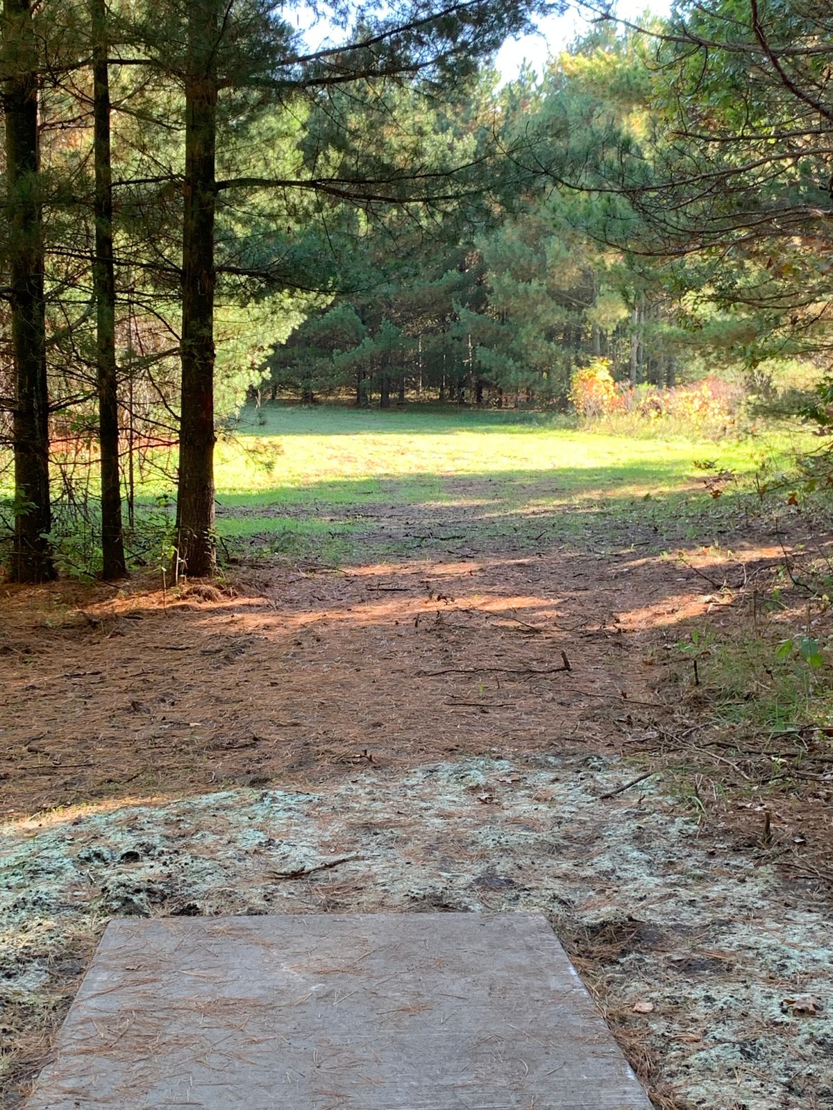 Hole 7 tee