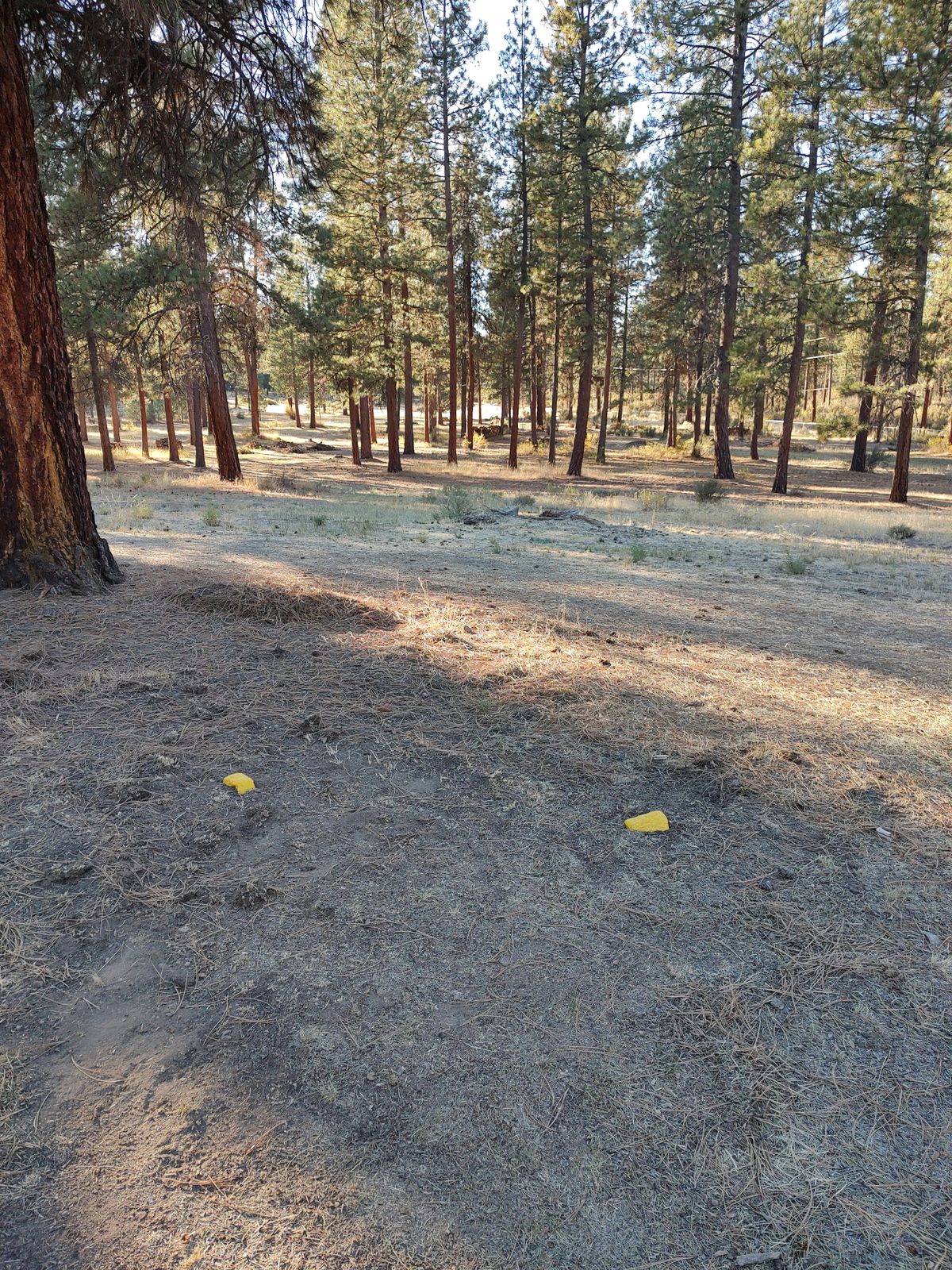 Hole 2 Tee