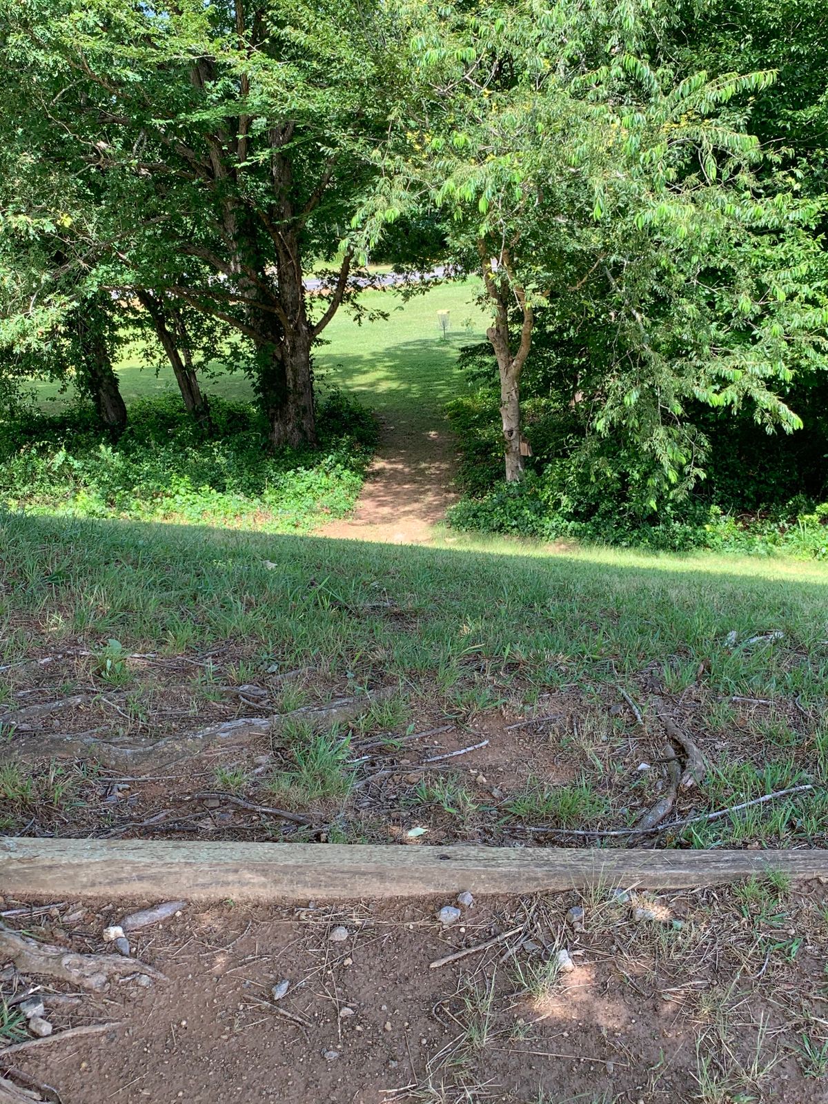 Hole 8 tee