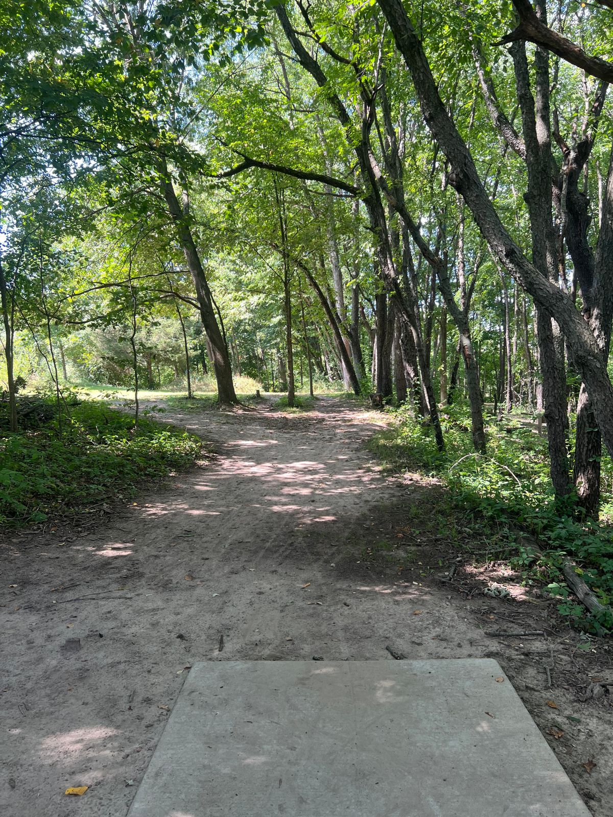 Hole 7 (White) - Tee Pad