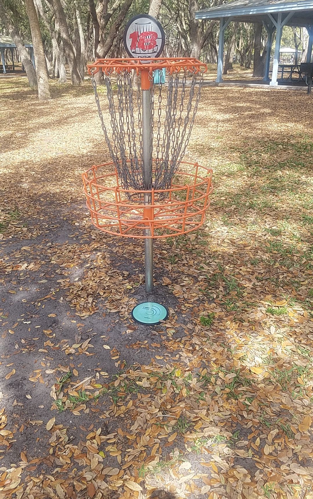 Almost ace. Pin seeker