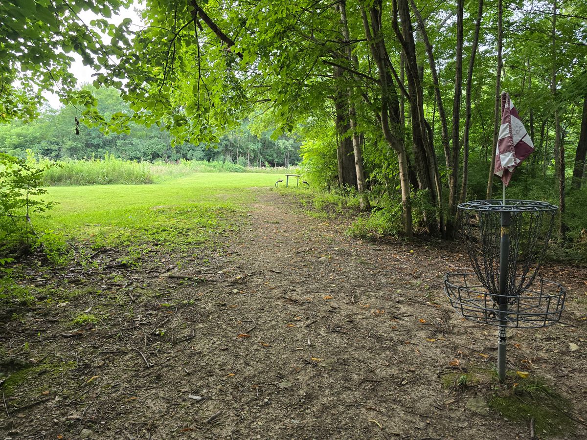 Hole 14 looking back at the fairway