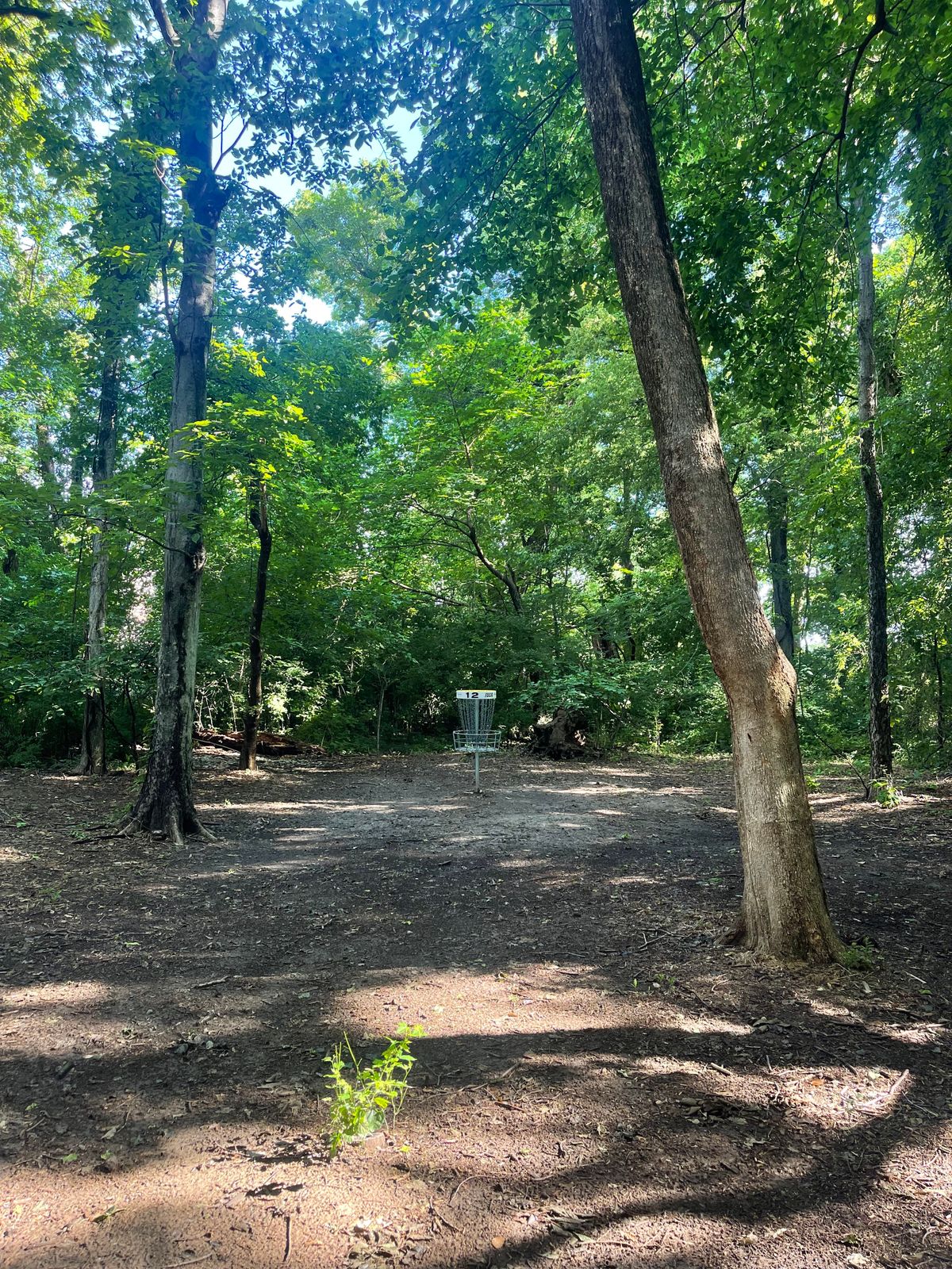 Hole 12 basket
