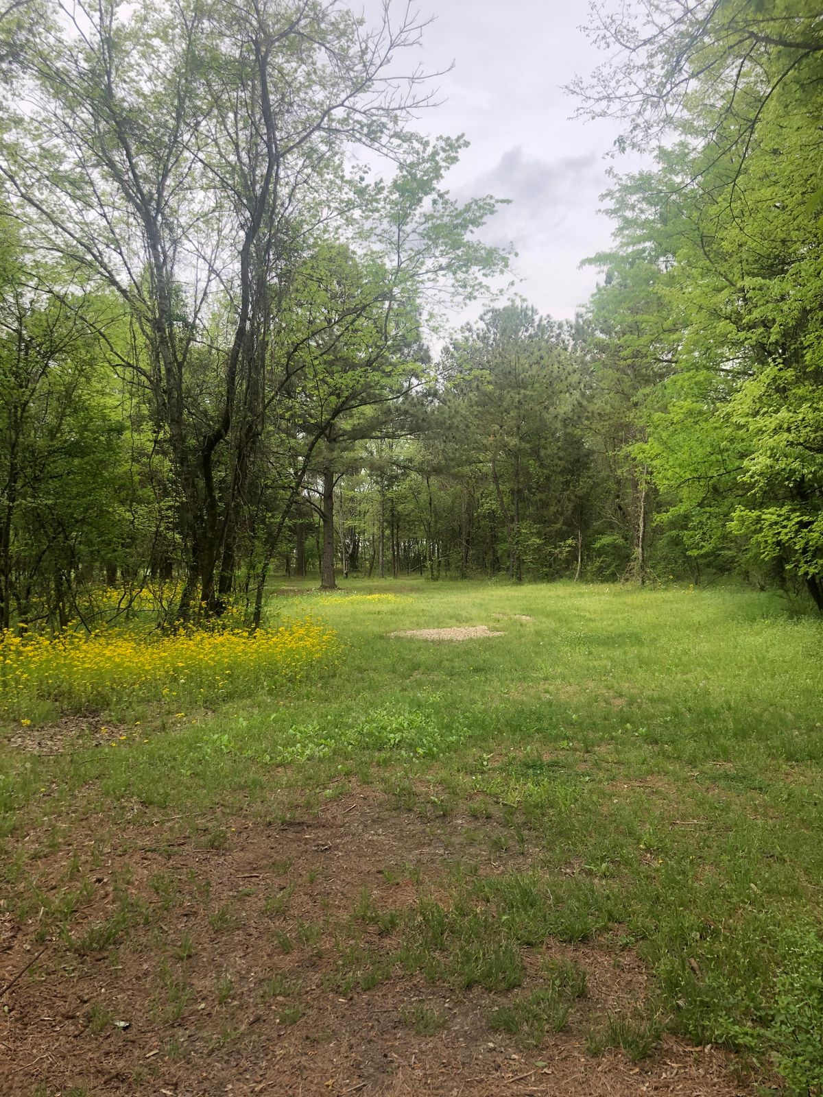 Hole 2