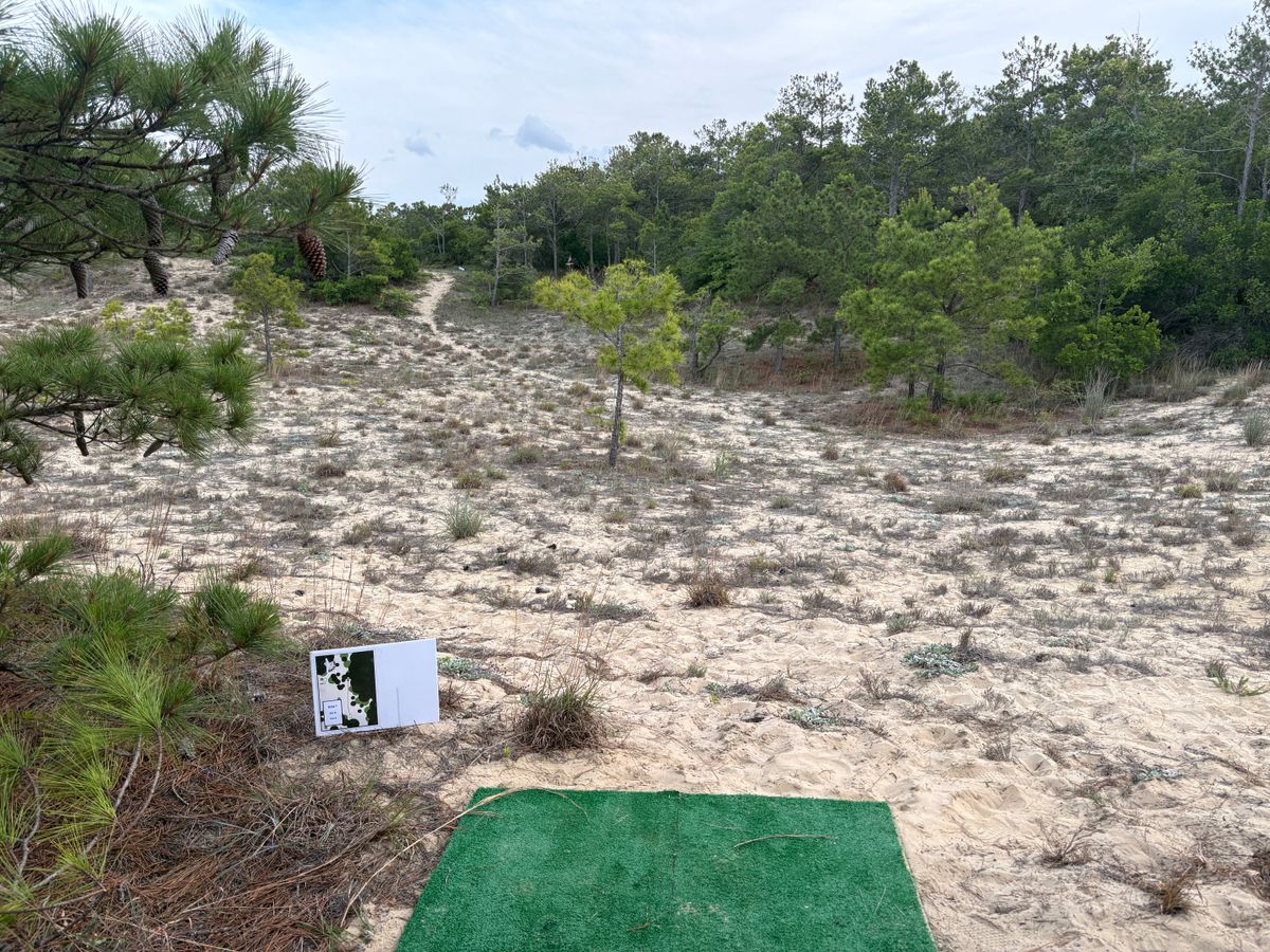 Hole 7 tee