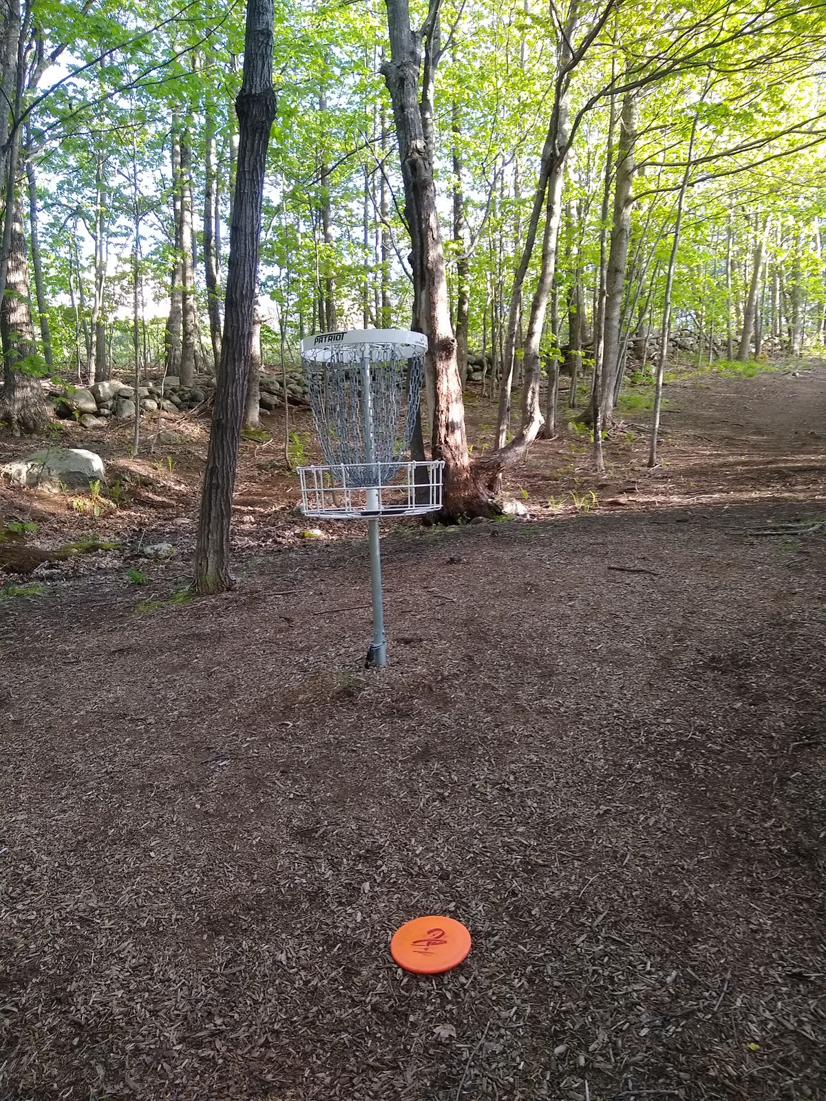 Target on hole 2