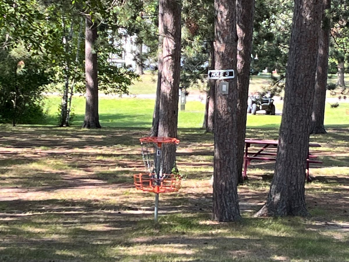 Dog leg left or hyzer if you will to basket 3