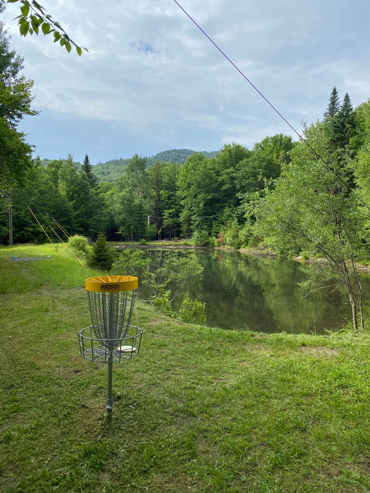 Hole 16 Green