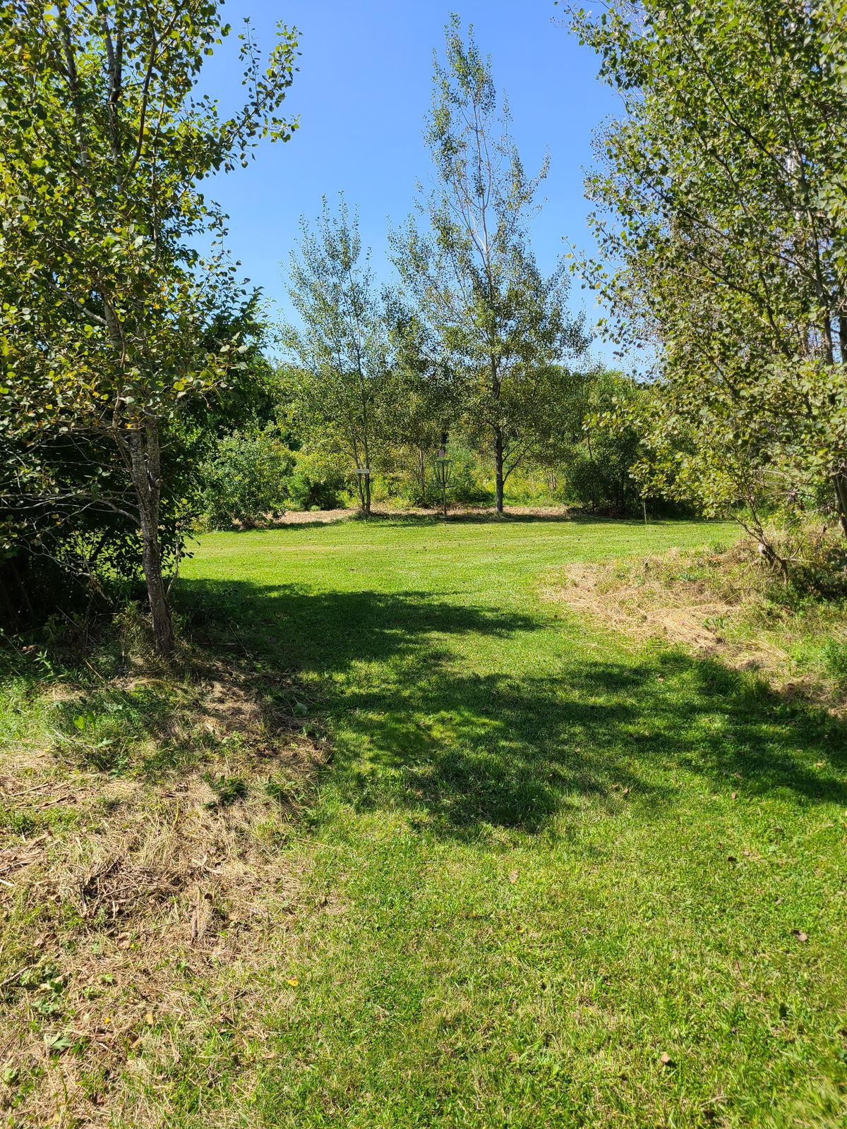 Fun tunnel shot , if you are skilled enough to hit the gap, it should be a tap in birdie