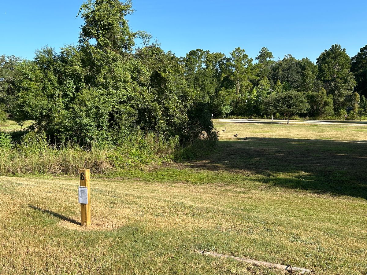 #8 (around woods left or right)