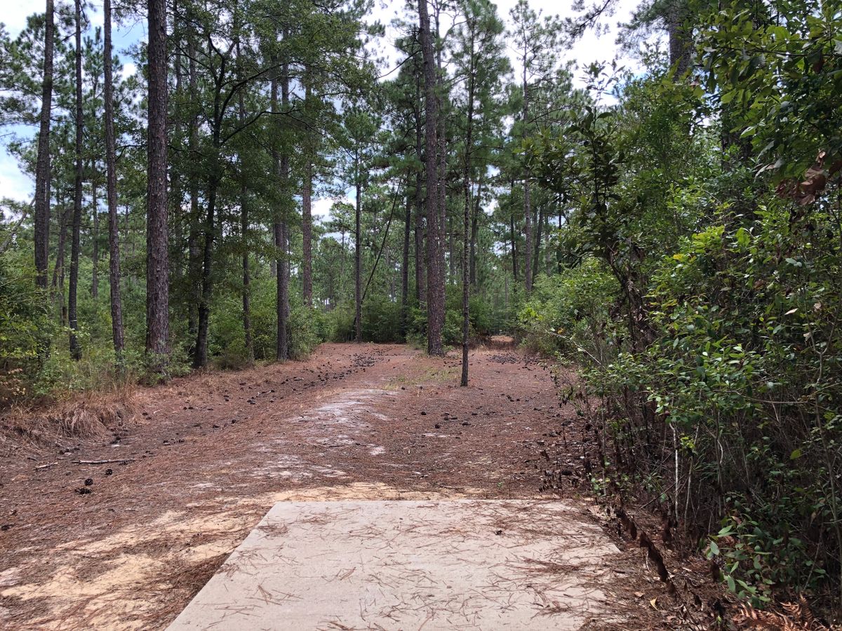 Hole 14 - Blue