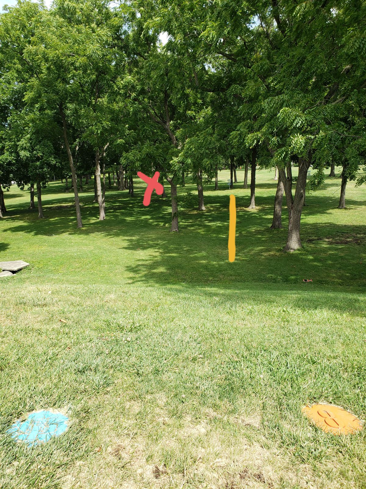 Hole 8 - 187'