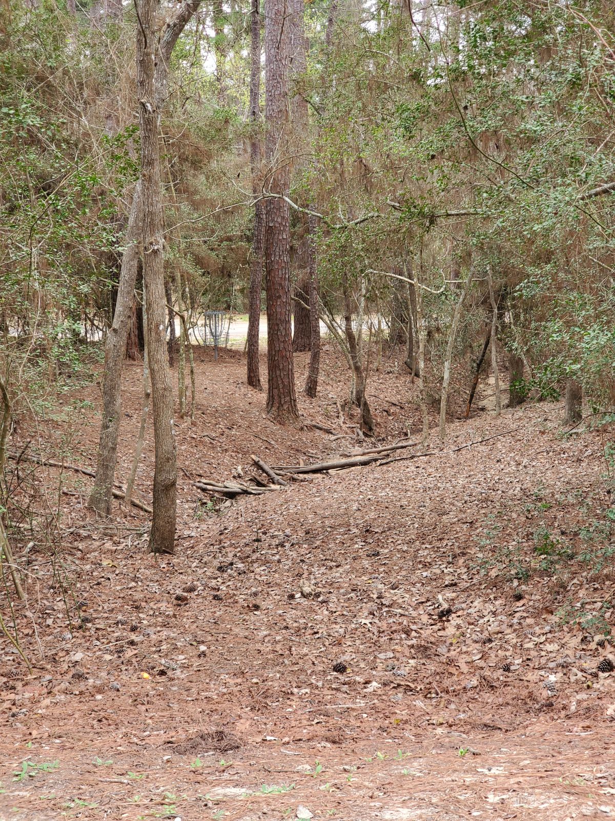 Hole 5 approach