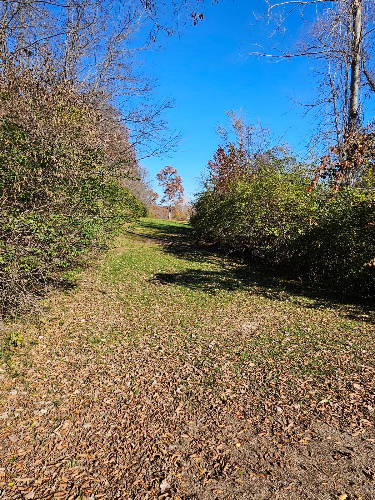 Hole 6 tee