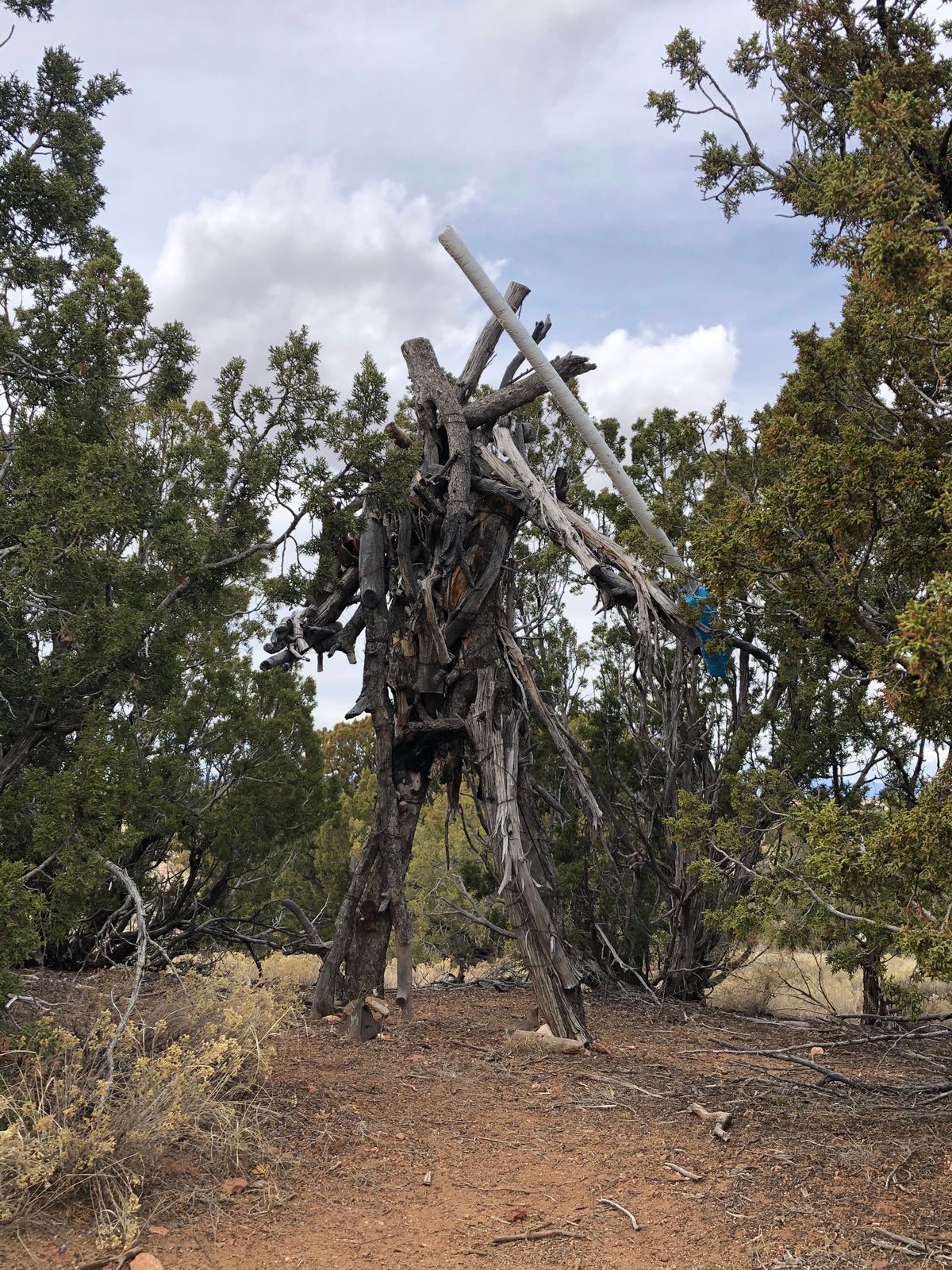 Sculpture artworks by the IAIA spread all across the course!!