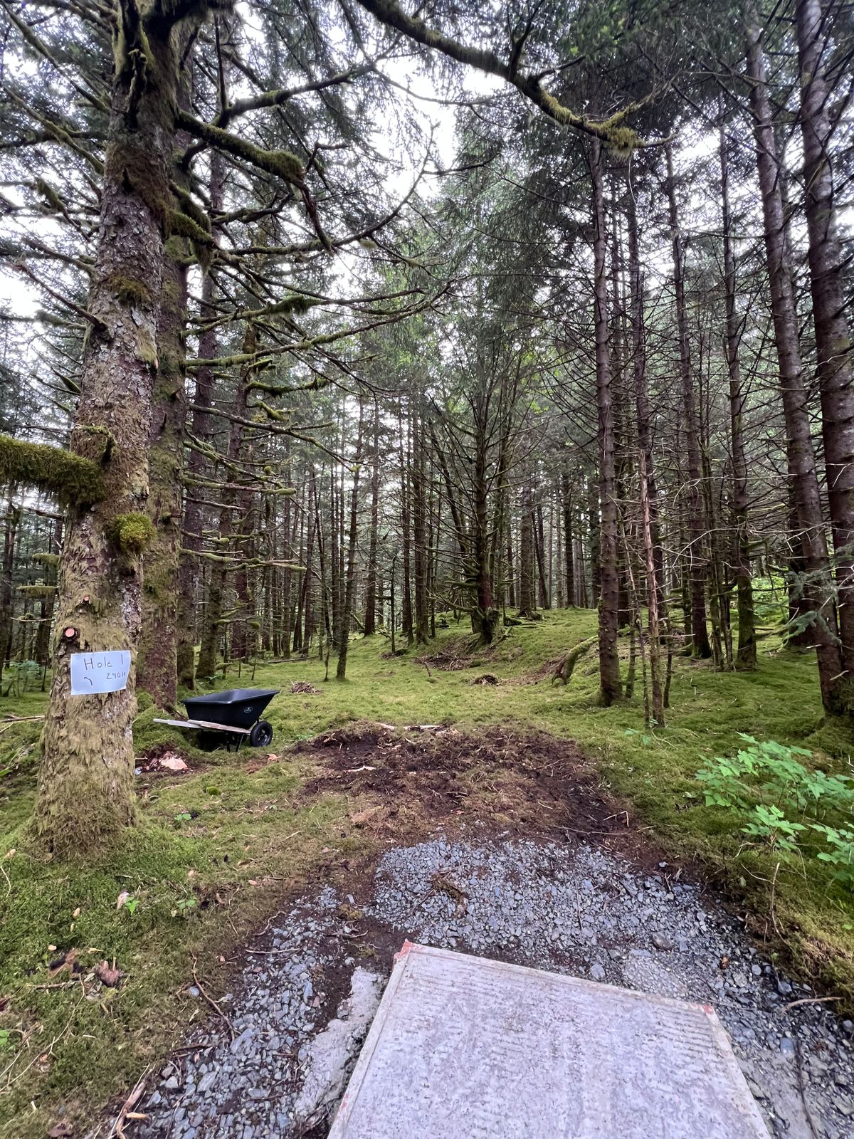 Hole 1