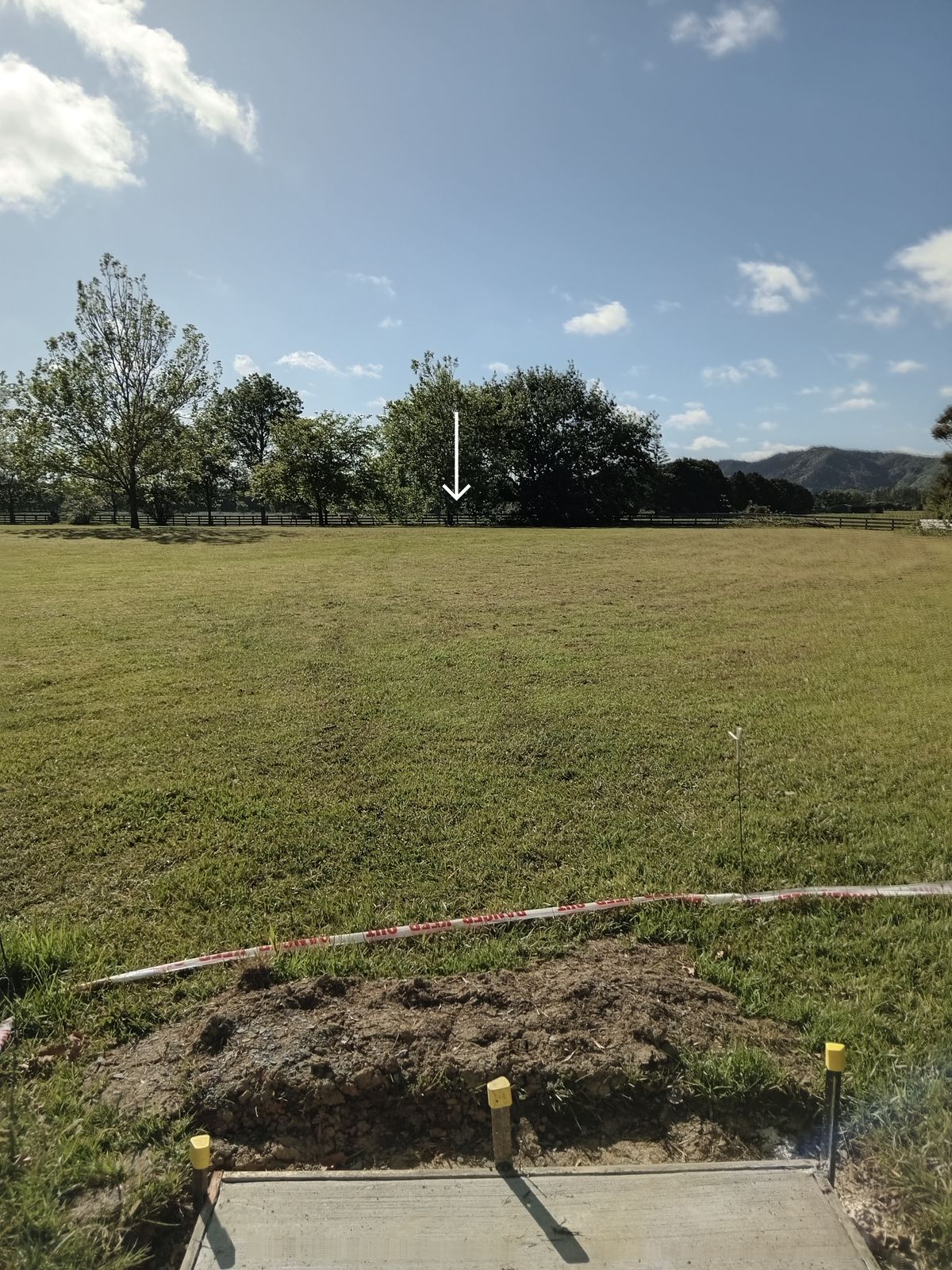 Hole 6, basket tucked behind a tree